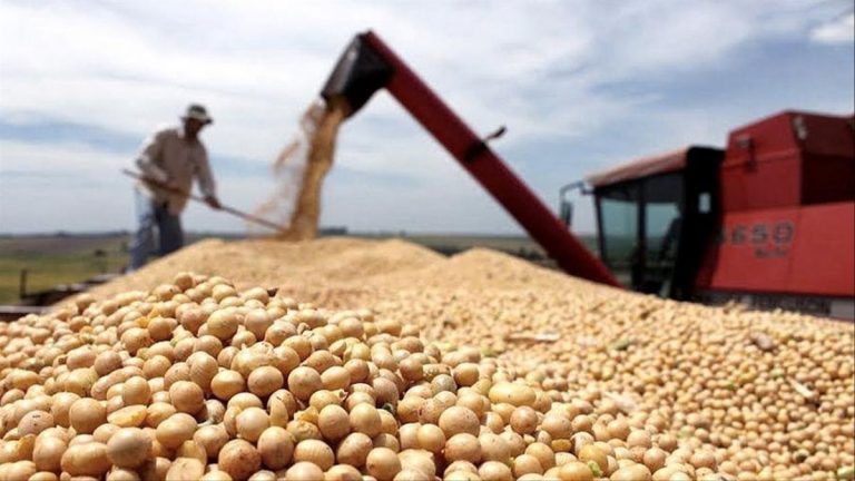 Suspenden exportaciones de harina y aceite de soja