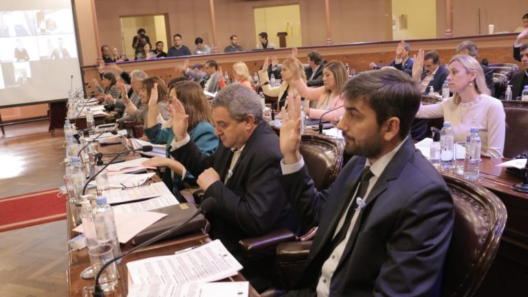 Diputados aprobó el proyecto que establece el abordaje de la endometriosis