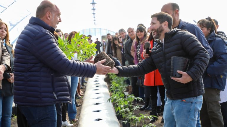 Perotti presenció el cultivo de cannabis medicinal a campo abierto