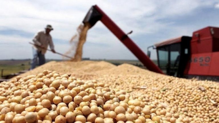 La venta de soja continúa a ritmo lento con un retraso mayor a 4 millones de toneladas