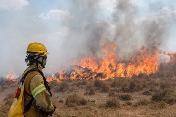 Echaron a funcionario entrerriano que dijo que “a Rosario la gobierna el narcotráfico”