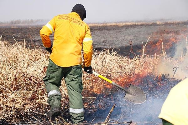 Dan por extinguidos los incendios en las islas de Victoria