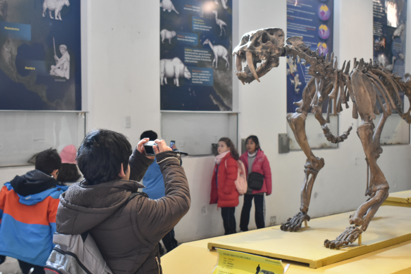 Vacaciones de invierno: Actividades en el Museo de Ciencias Naturales Antonio Serrano
