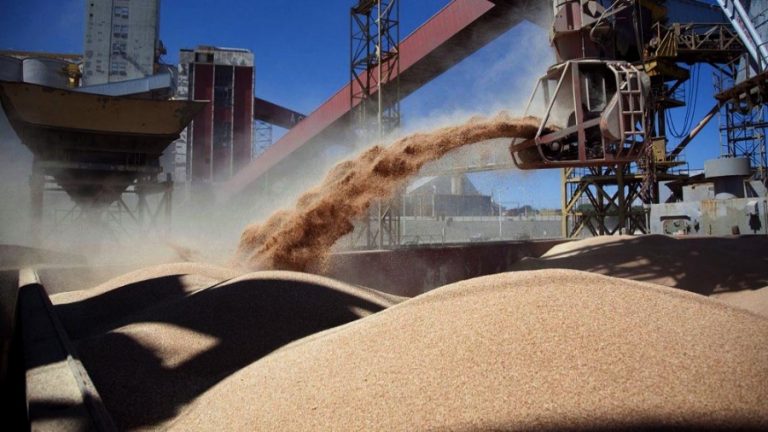 Las exportaciones de granos podrían superar un “hito histórico” de US$ 40.500 millones