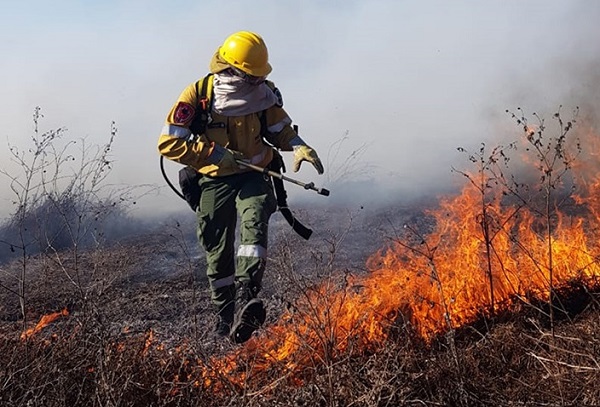 La Corte ordenó a Nación, Entre Ríos y Victoria que informen sobre las medidas para combatir el fuego en las islas