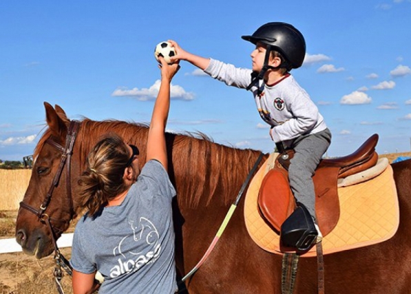 Diputados avanza con el tratamiento de los proyectos de ley de equinoterapia