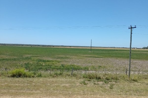 Productores cooperativos esperan respuestas frente a un pronóstico complejo
