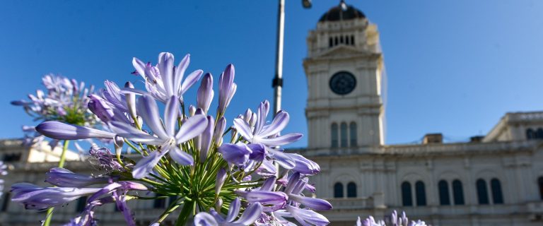 Del 20 al 22 de diciembre se abonará el medio aguinaldo en la provincia