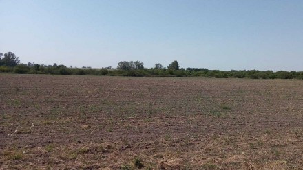 Desde FAA Entre Ríos alertaron que “la sequía no da tregua y la producción vive una situación límite”