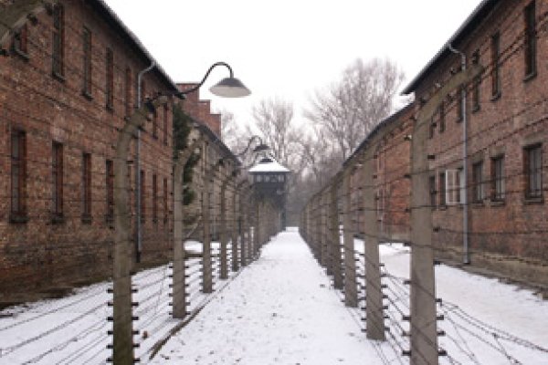 Día internacional de conmemoración de las víctimas del Holocausto