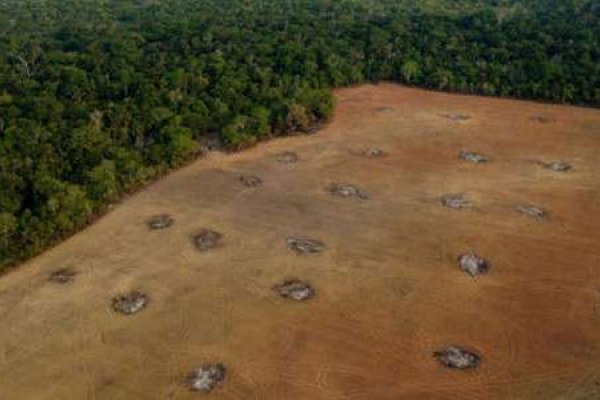 Lula inicia operaciones contra la deforestación