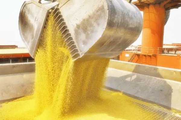 Dólar agro: Gobierno delimita acceso para economías regionales