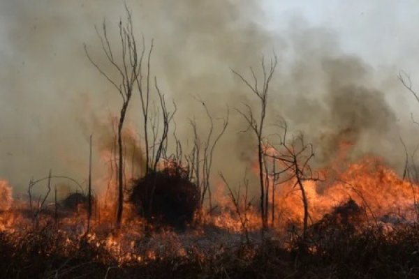Presentan una demanda por la quema en las islas