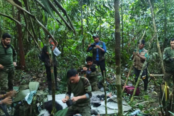 Milagro en Guaviare: aparecieron con vida los niños perdidos en la selva