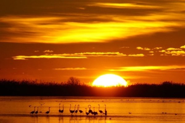 Pronunciado calentamiento de Europa