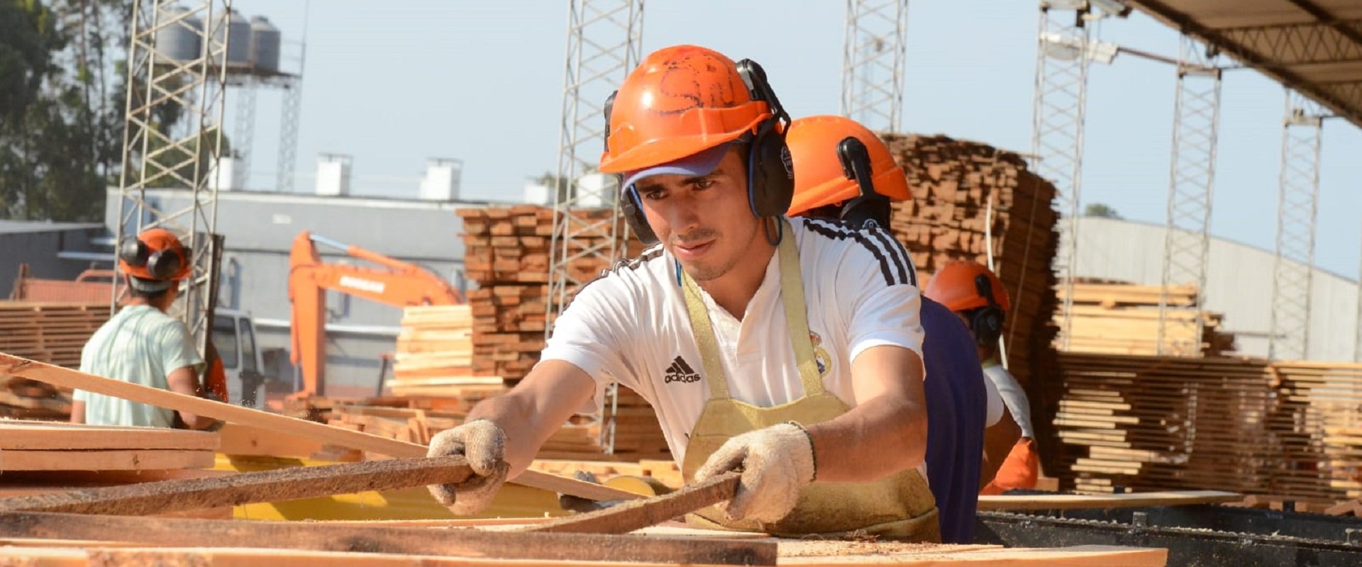 Entre Ríos será sede de la Exposición de la Madera, Vivienda y la Industria Foresto Industrial