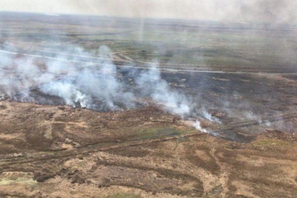 Se detectó un nuevo foco de incendio en islas del Delta en Santa Fe
