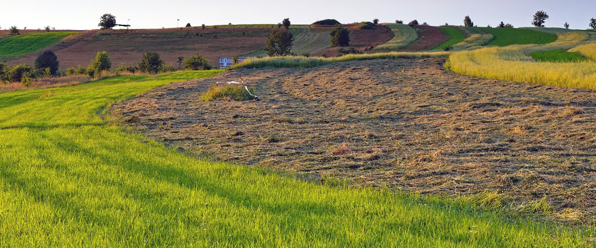 Las técnicas conservacionistas del suelo como una política del estado provincial