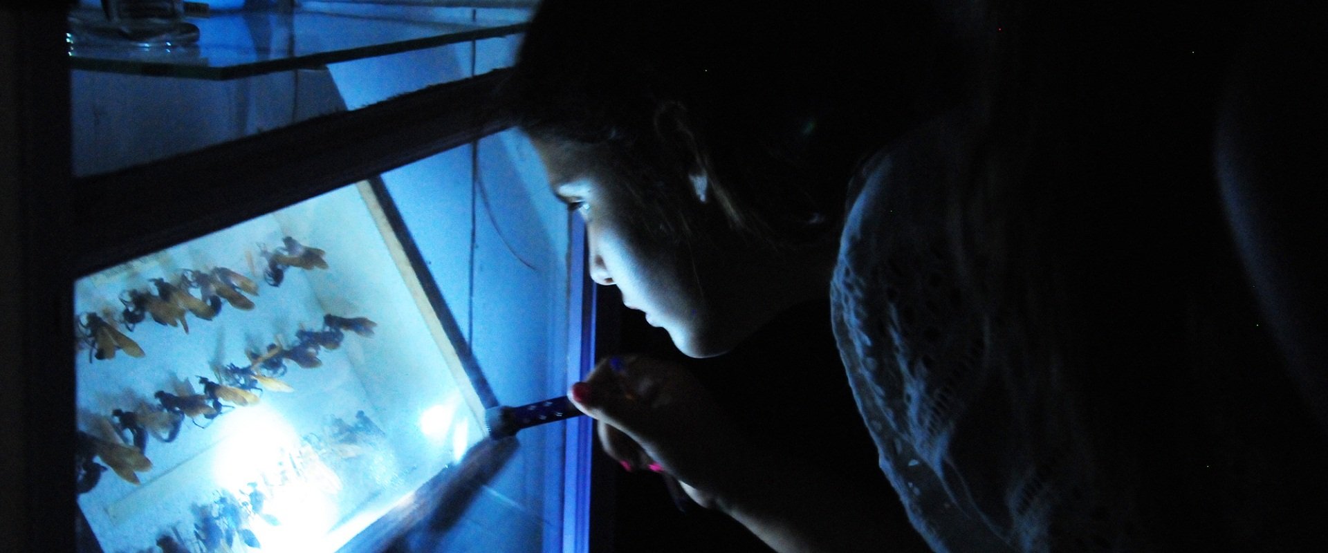 Vuelve La Noche de las Linternas en el Museo Serrano