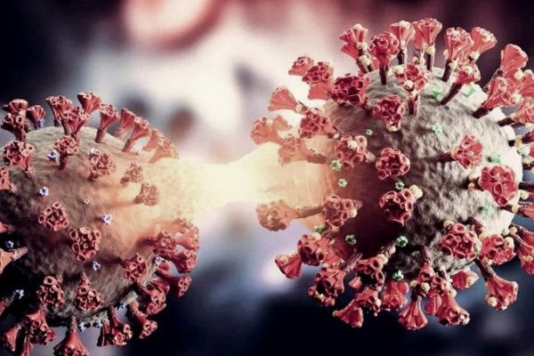 La OMS vigila nueva variante de Covid y se desconoce su impacto