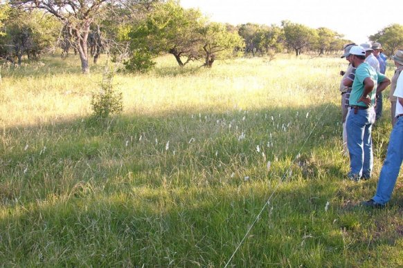 La provincia incentiva la conservación de bosques nativos y regeneración de áreas degradadas