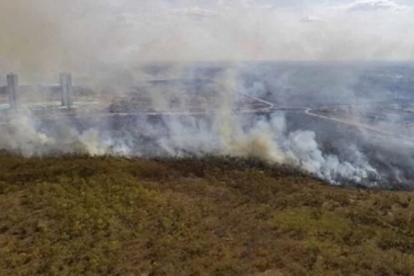 17 países reclaman a la Unión Europea por la ley anti-deforestación