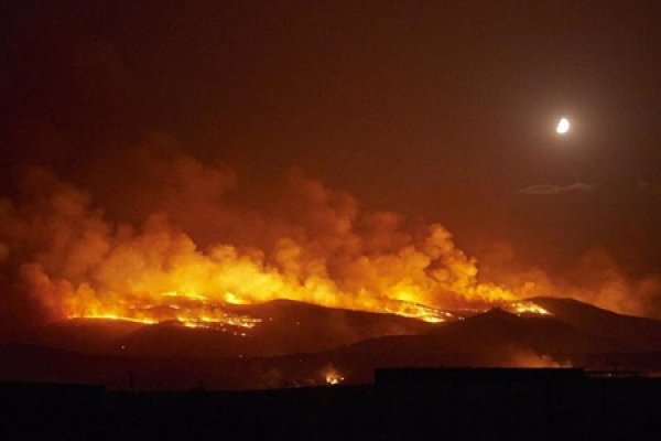 Los incendios forestales ya son récord en el hemisferio norte