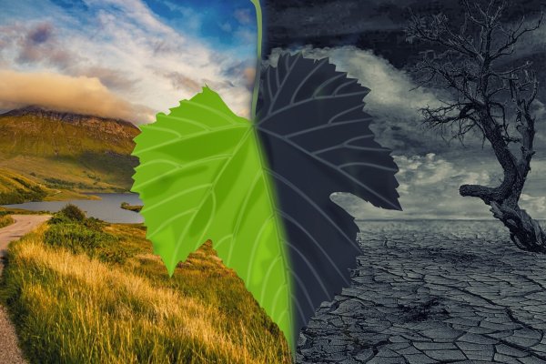 Día internacional contra el cambio climático