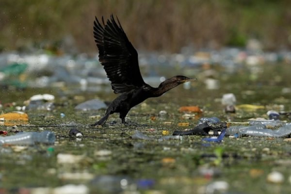 Tercera reunión por el tratado de contaminación por plástico
