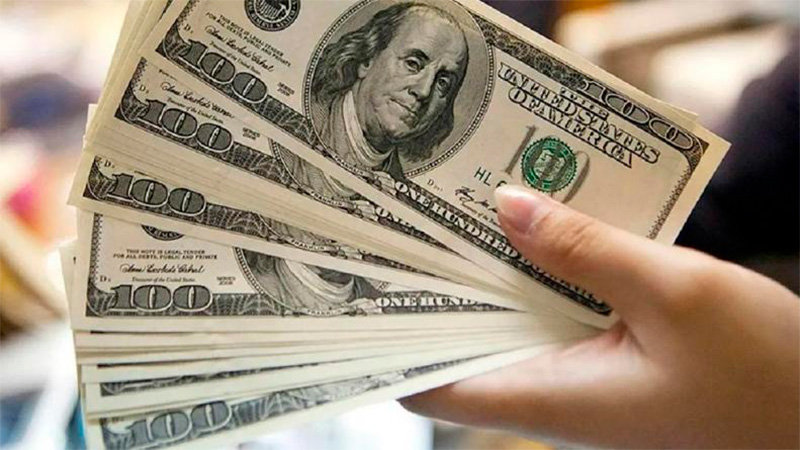 El Gobierno fijó el valor del dólar oficial en 800 pesos