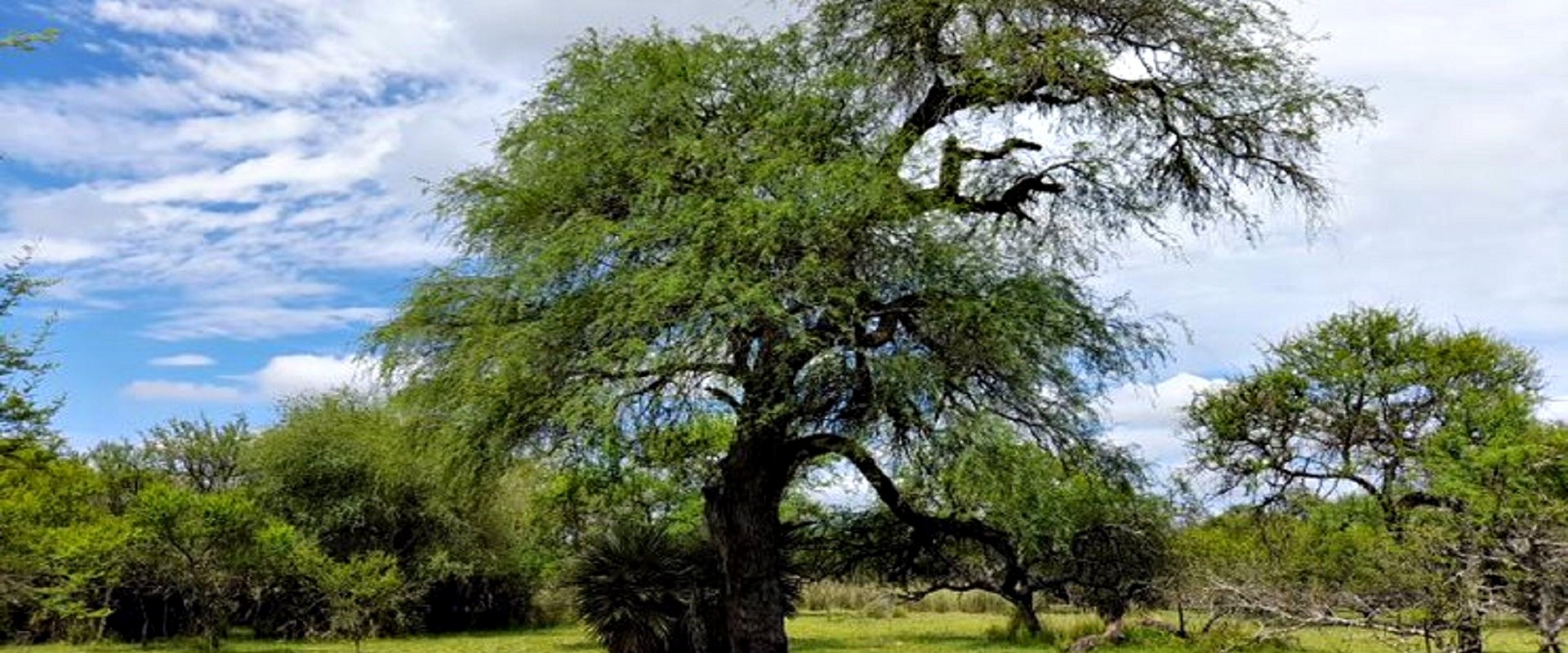 Entre Ríos trabajará en conjunto con otras cinco provincias en el cuidado del ambiente