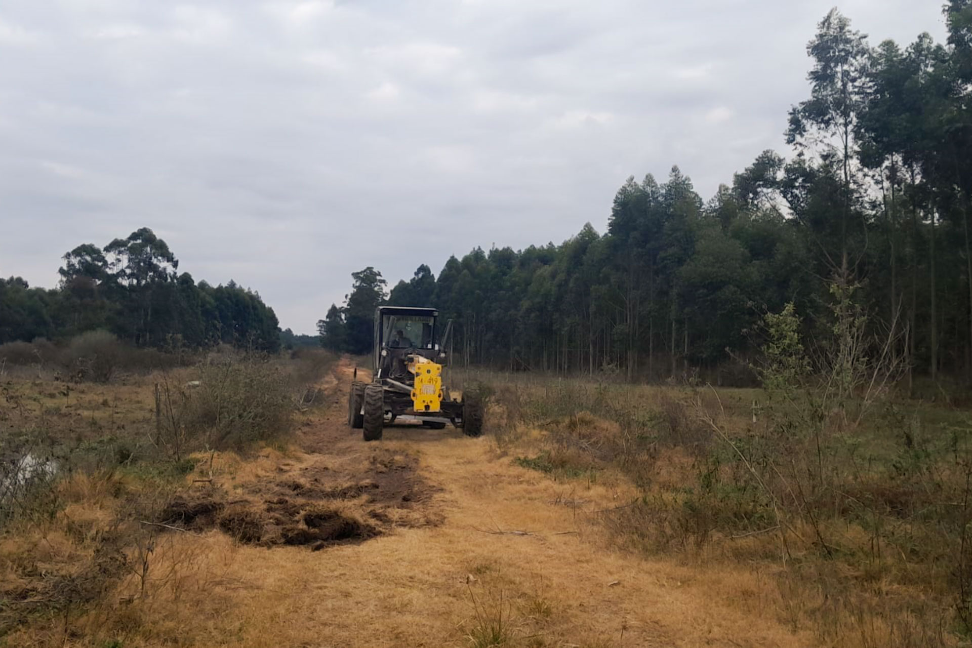 Vialidad trabaja en la recuperación de trazas rurales del departamento Concordia