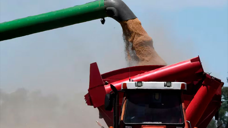 La cosecha de soja es más del doble que el año pasado a nivel nacional