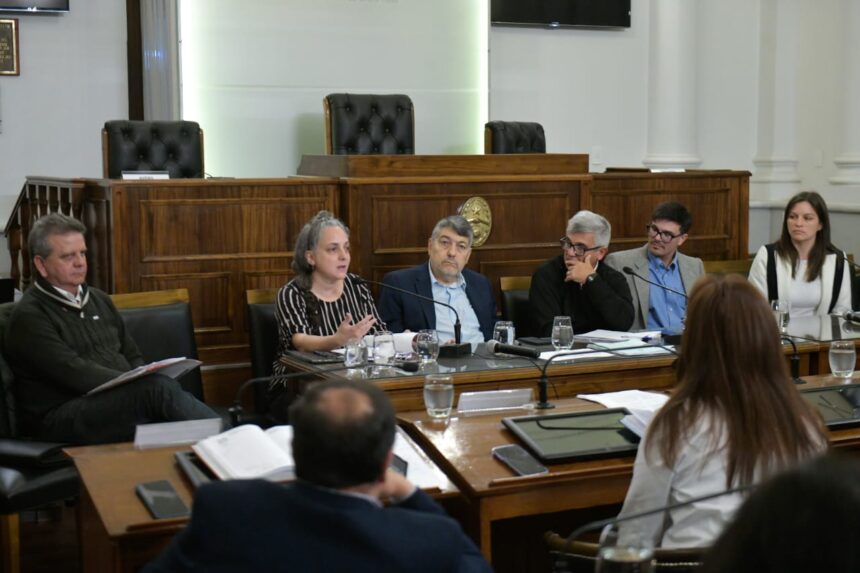 Senadores escucharon las opiniones de instituciones y ambientalistas sobre el proyecto del RIGI y el RINI