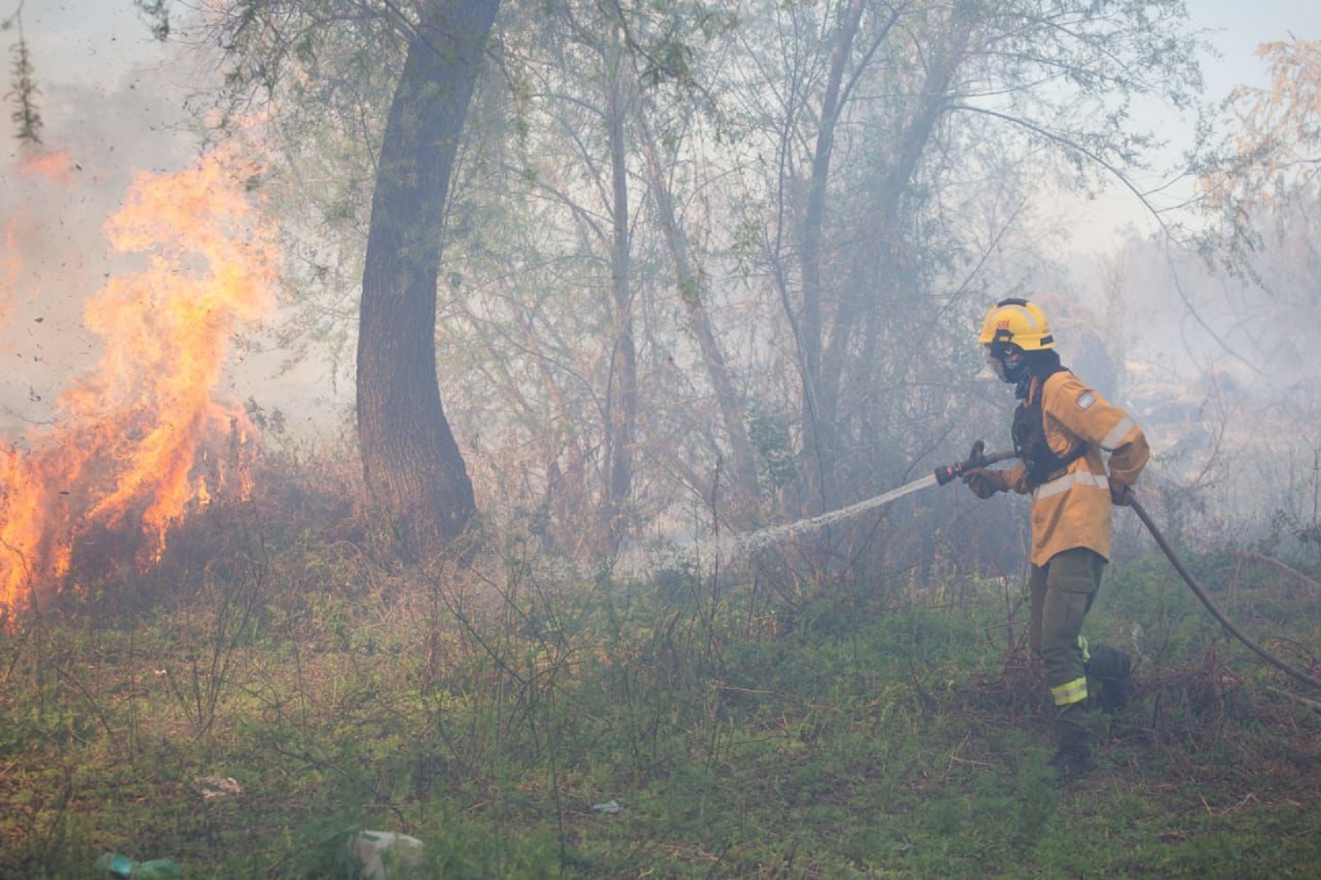 Incendio forestal en Islas del Delta: Santa Fe y Entre Ríos unen fuerzas para combatir el fuego