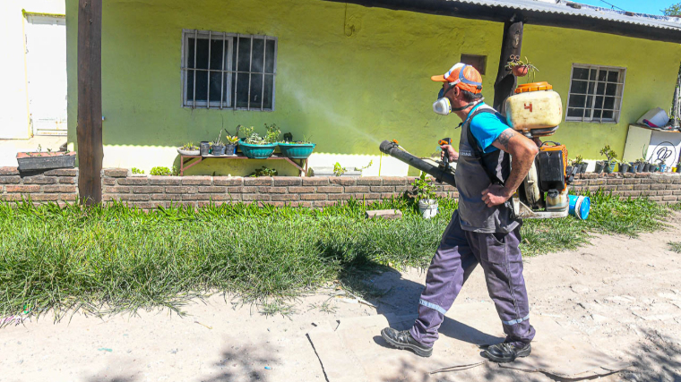 Continúa el cronograma de fumigación