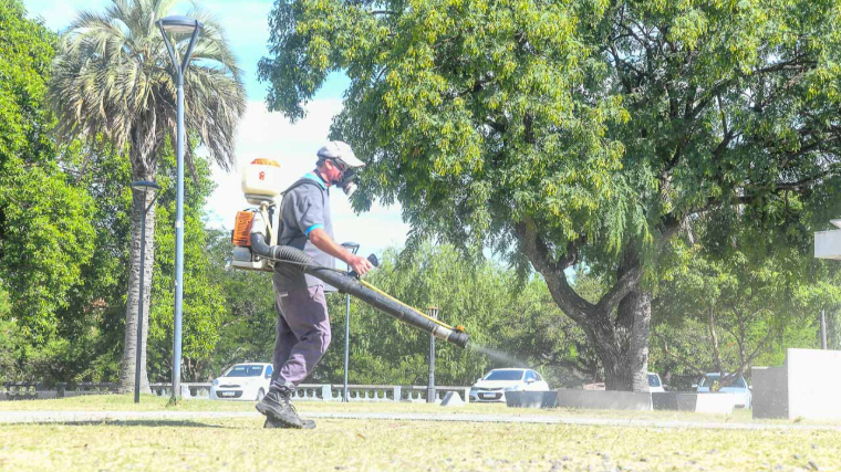 Realizaron fumigaciones en la costanera