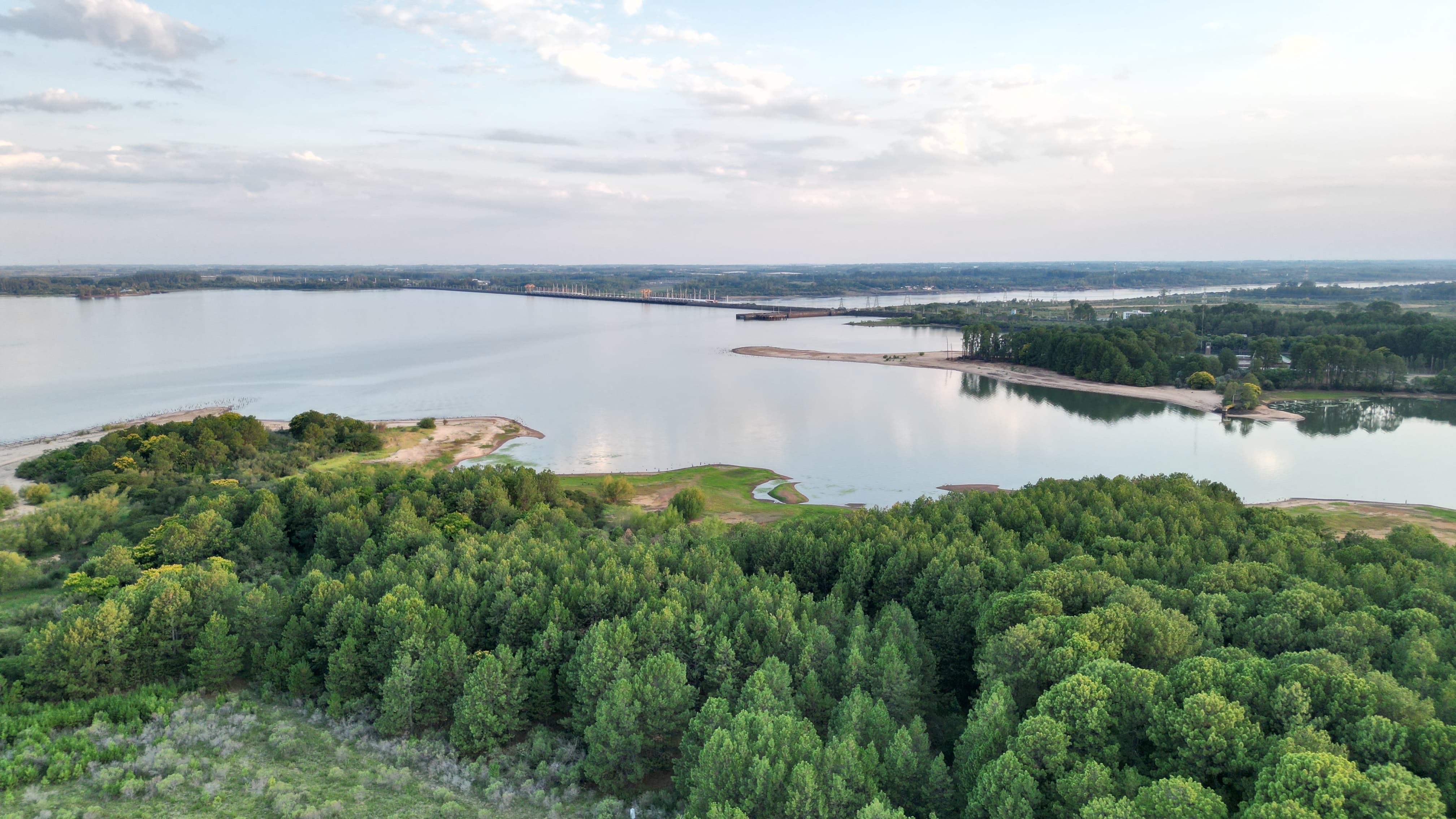 Codesal aclaró que no tiene injerencia en el predio donde se denunció un desmonte