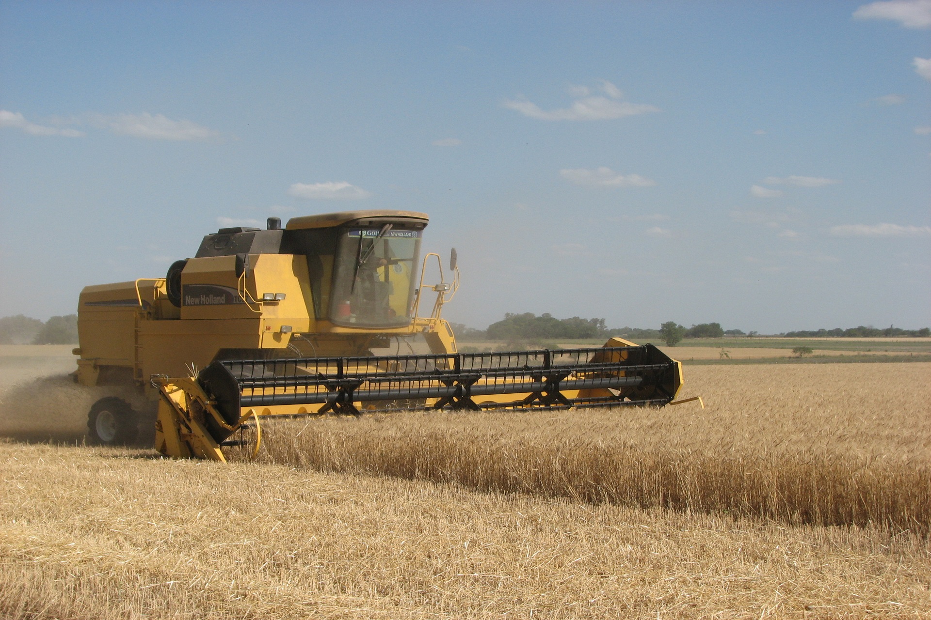 El volumen exportado por Entre Ríos creció un 19 % en el primer bimestre de 2025