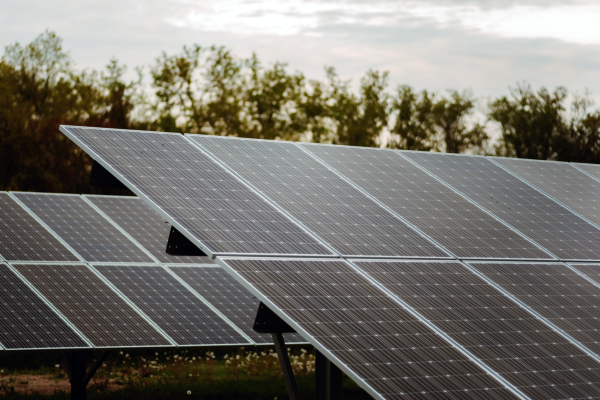 Enersa impulsa la energía limpia con sus primeros parques solares en Entre Ríos