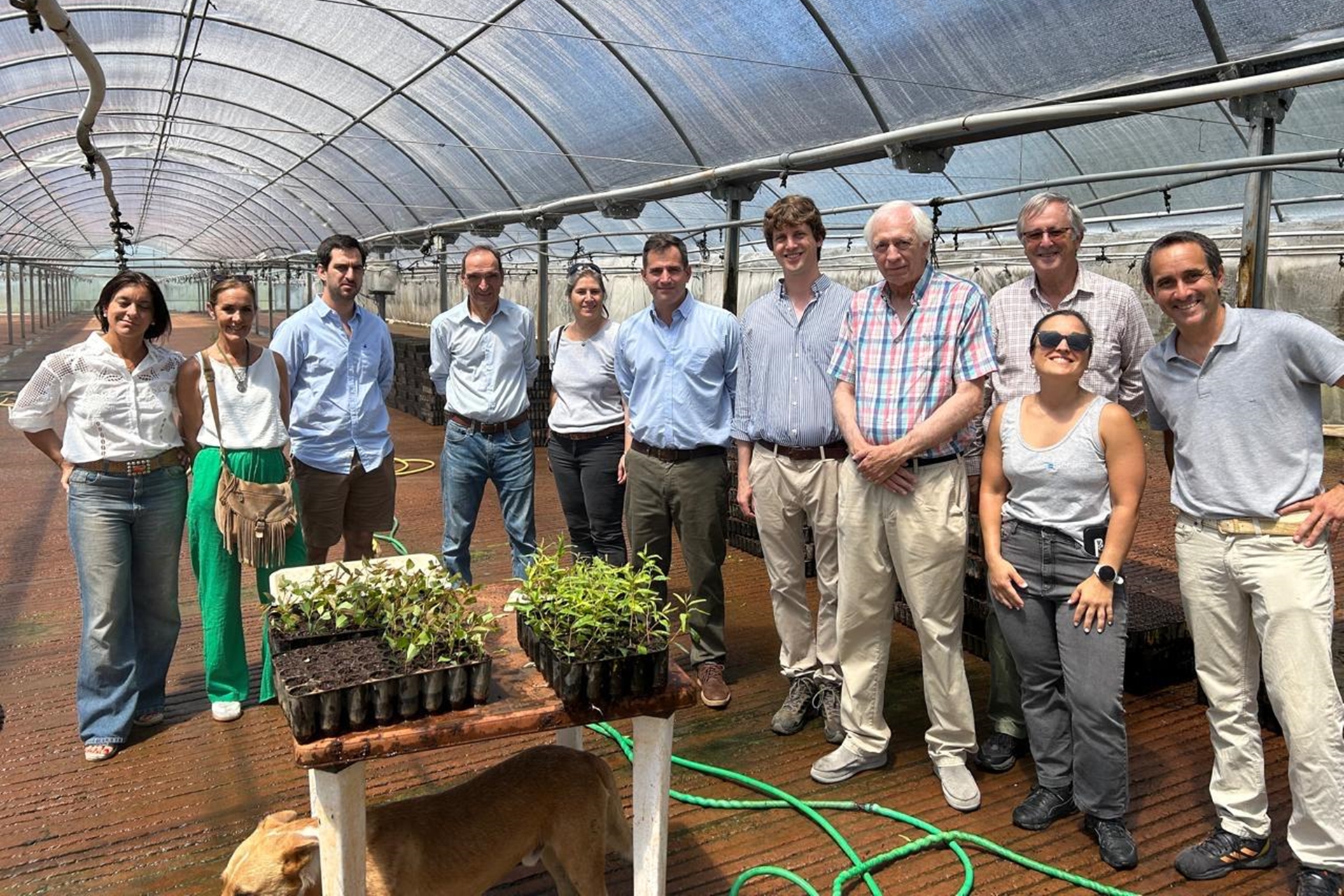 Consolidan la integración del Estado y los productores para impulsar al sector forestal